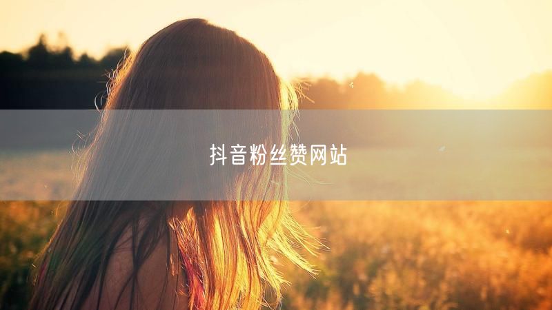 抖音粉丝赞网站