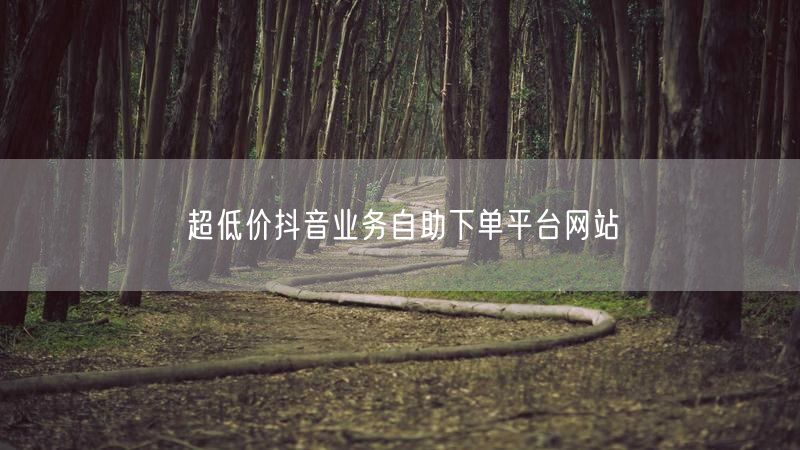 超低价抖音业务自助下单平台网站