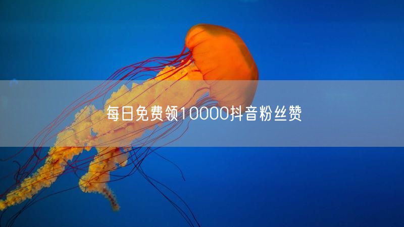 每日免费领10000抖音粉丝赞