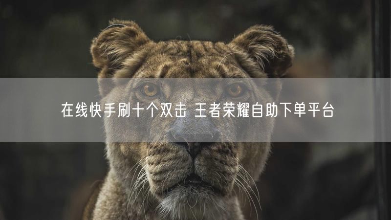 在线快手刷十个双击 王者荣耀自助下单平台