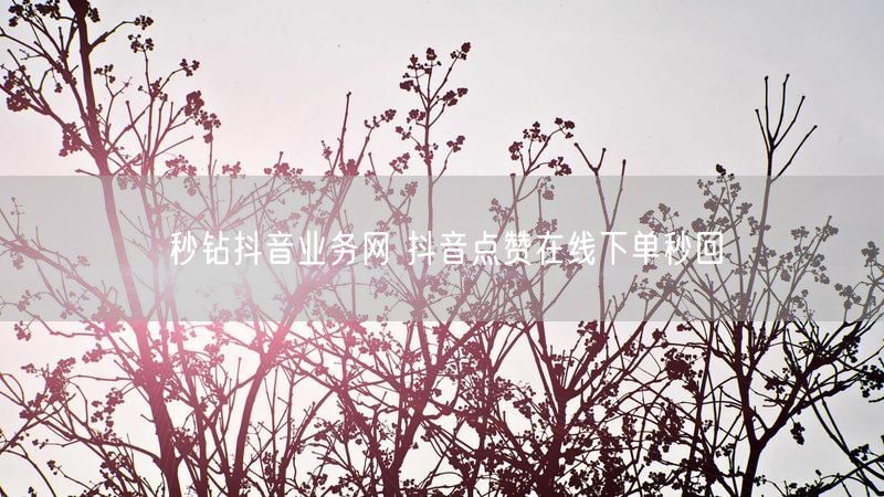 秒钻抖音业务网 抖音点赞在线下单秒回