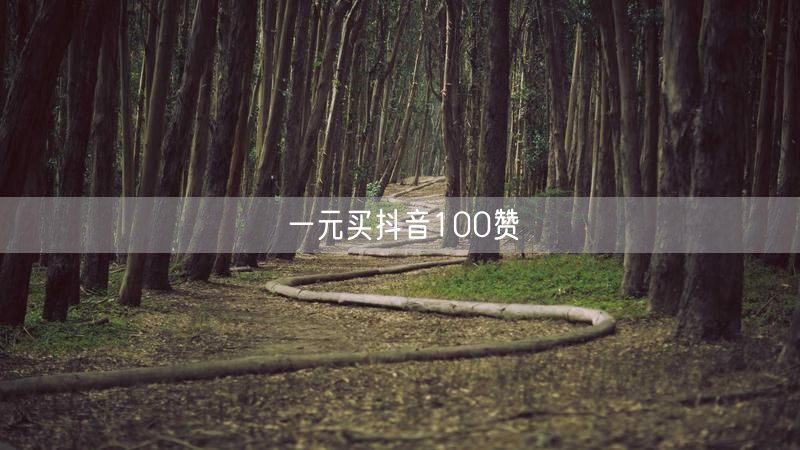 一元买抖音100赞