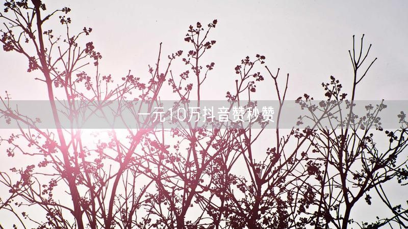 一元10万抖音赞秒赞