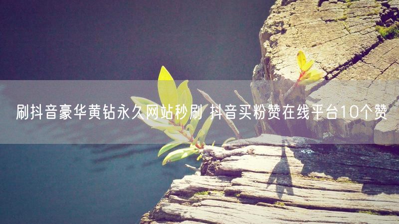刷抖音豪华黄钻永久网站秒刷 抖音买粉赞在线平台10个赞