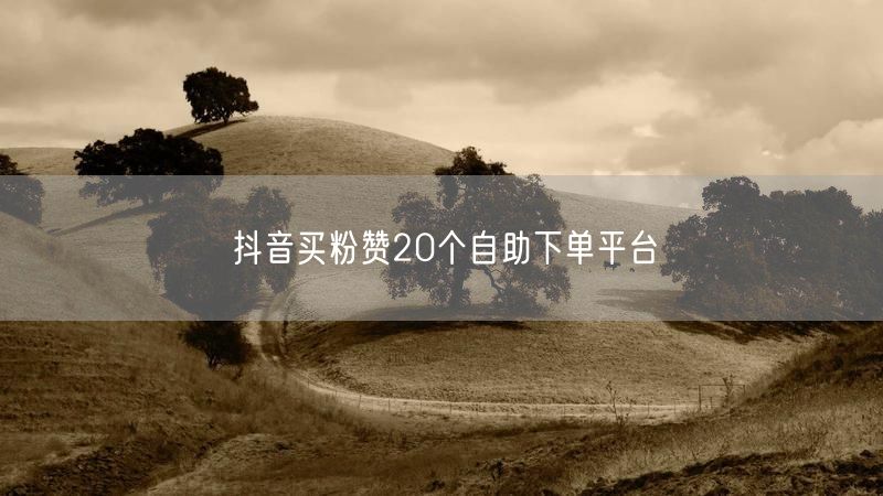 抖音买粉赞20个自助下单平台