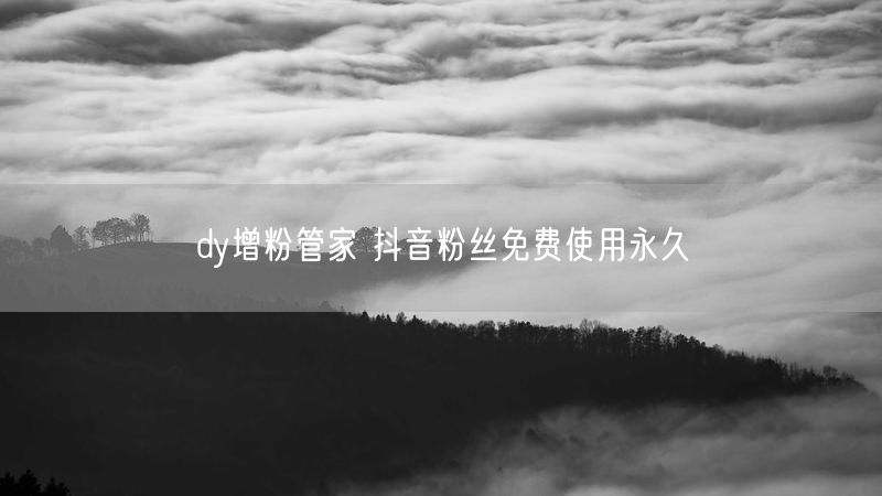 dy增粉管家 抖音粉丝免费使用永久