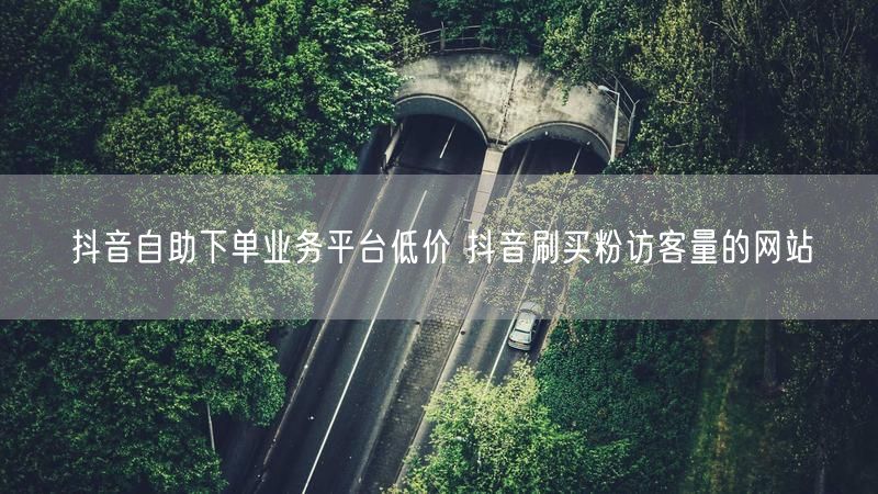 抖音自助下单业务平台低价 抖音刷买粉访客量的网站