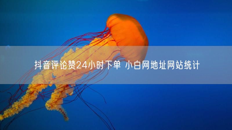 抖音评论赞24小时下单 小白网地址网站统计