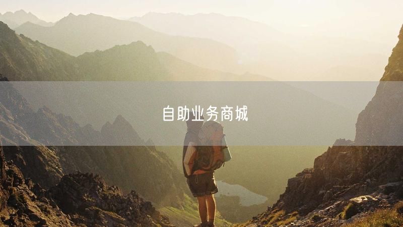 自助业务商城