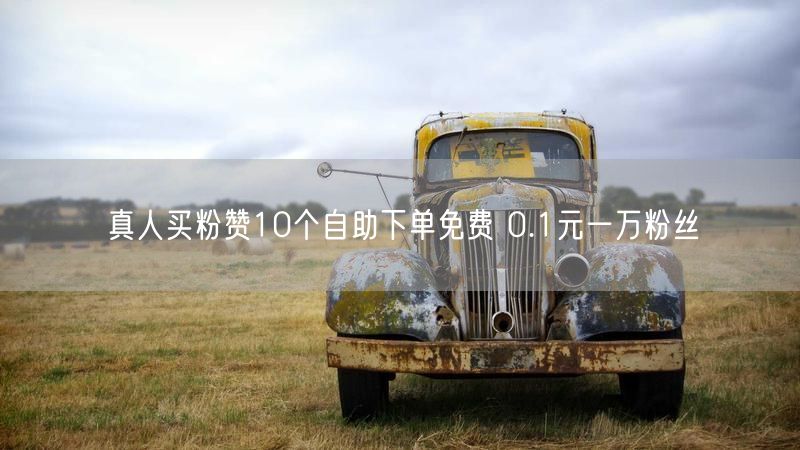 真人买粉赞10个自助下单免费 0.1元一万粉丝