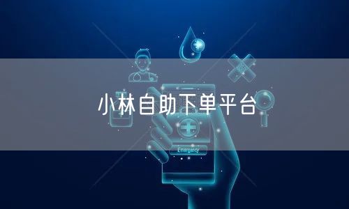小林自助下单平台
