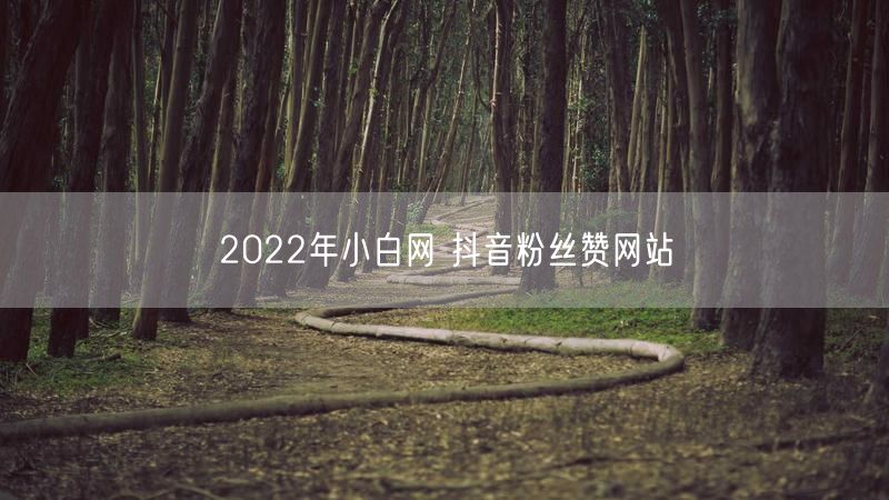 2022年小白网 抖音粉丝赞网站