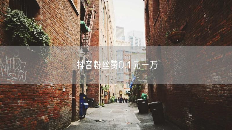 抖音粉丝赞0.1元一万