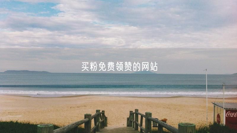 买粉免费领赞的网站