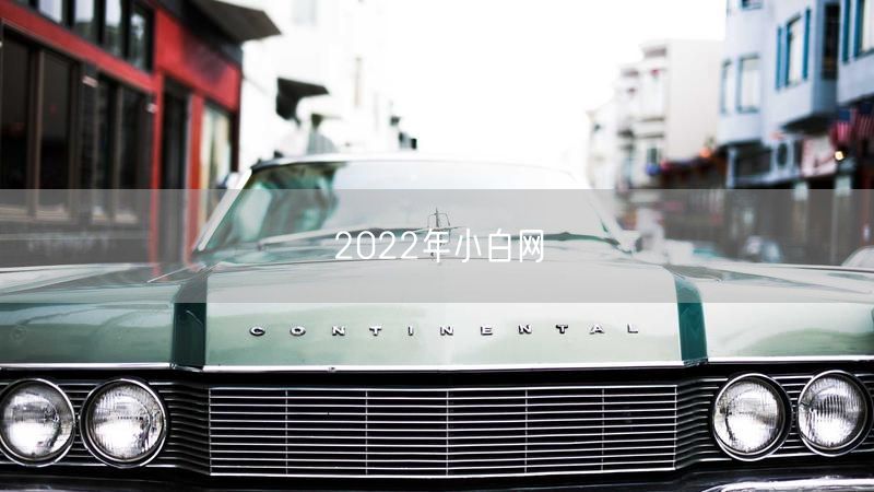 2022年小白网