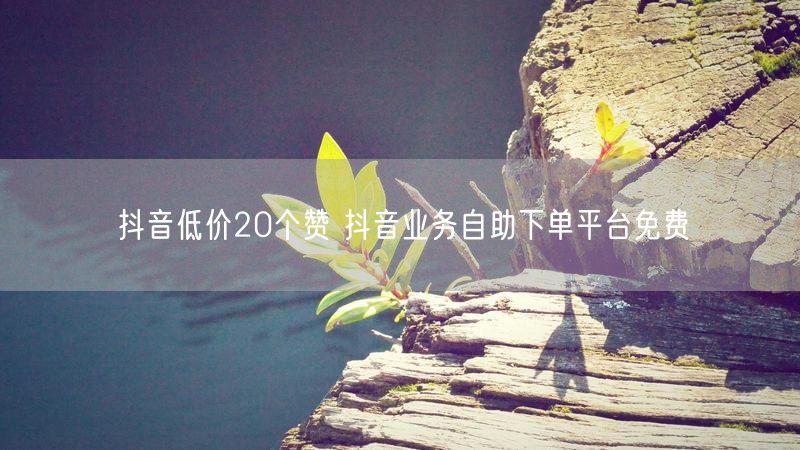 抖音低价20个赞 抖音业务自助下单平台免费