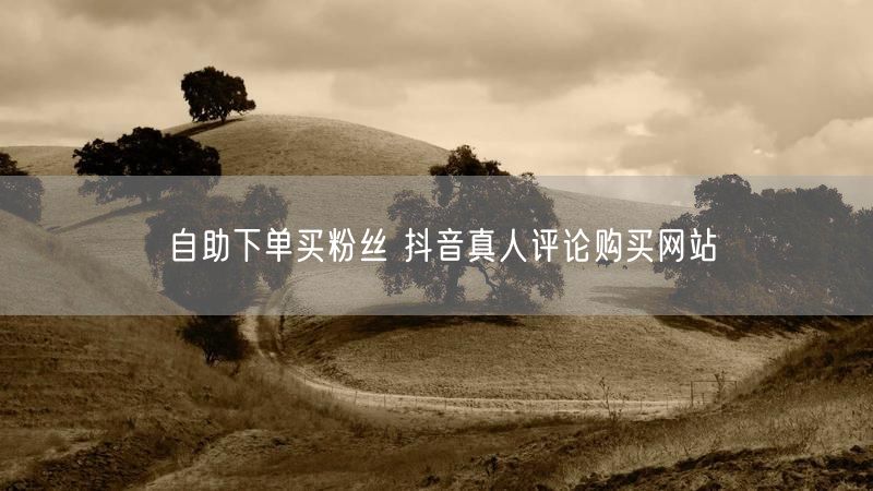 自助下单买粉丝 抖音真人评论购买网站