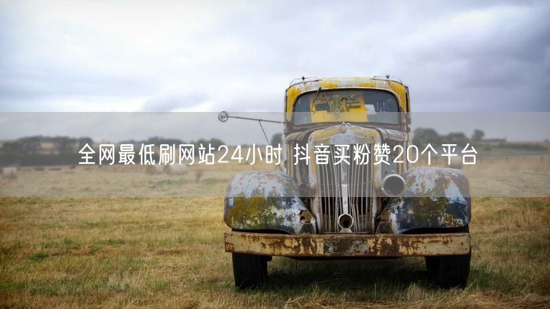 全网最低刷网站24小时 抖音买粉赞20个平台