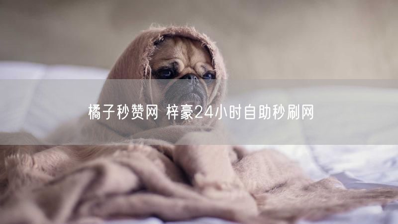 橘子秒赞网 梓豪24小时自助秒刷网