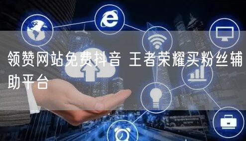 领赞网站免费抖音 王者荣耀买粉丝辅助平台
