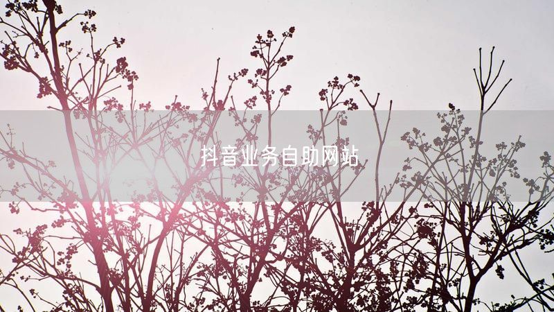 抖音业务自助网站