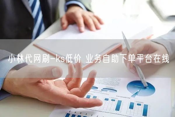 小林代网刷-ks低价 业务自助下单平台在线