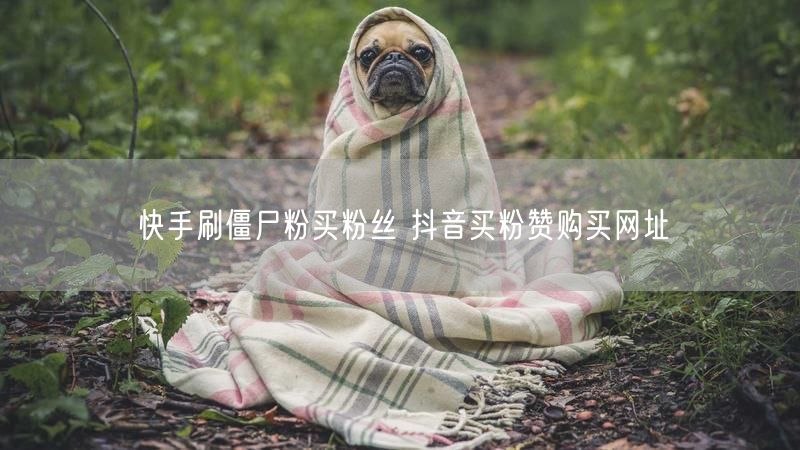 快手刷僵尸粉买粉丝 抖音买粉赞购买网址