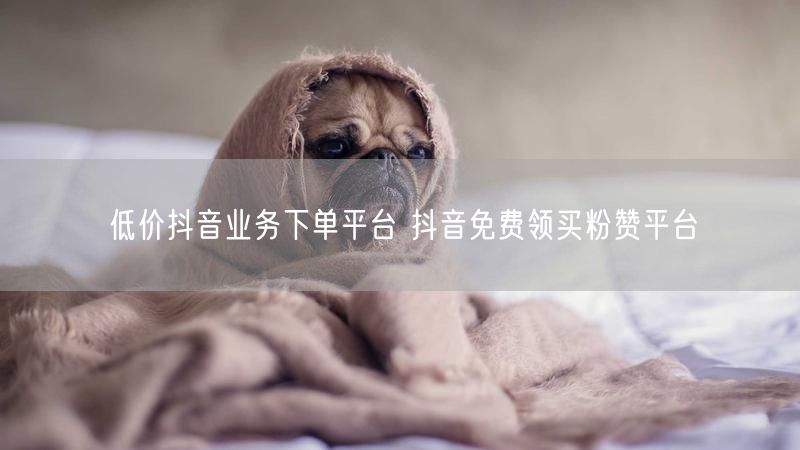 低价抖音业务下单平台 抖音免费领买粉赞平台