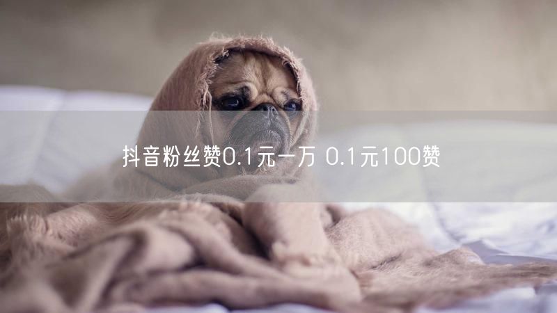抖音粉丝赞0.1元一万 0.1元100赞