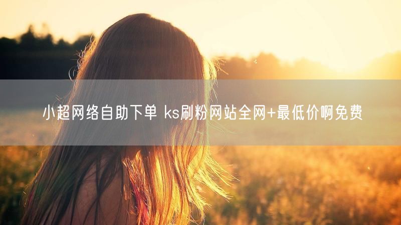 小超网络自助下单 ks刷粉网站全网+最低价啊免费