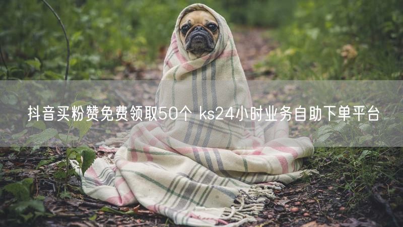 抖音买粉赞免费领取50个 ks24小时业务自助下单平台