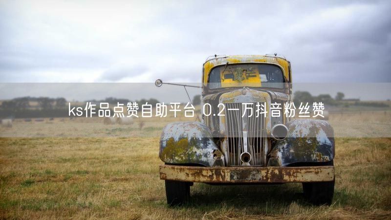 ks作品点赞自助平台 0.2一万抖音粉丝赞