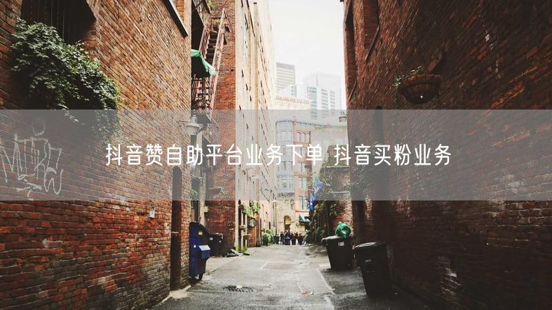 抖音赞自助平台业务下单 抖音买粉业务
