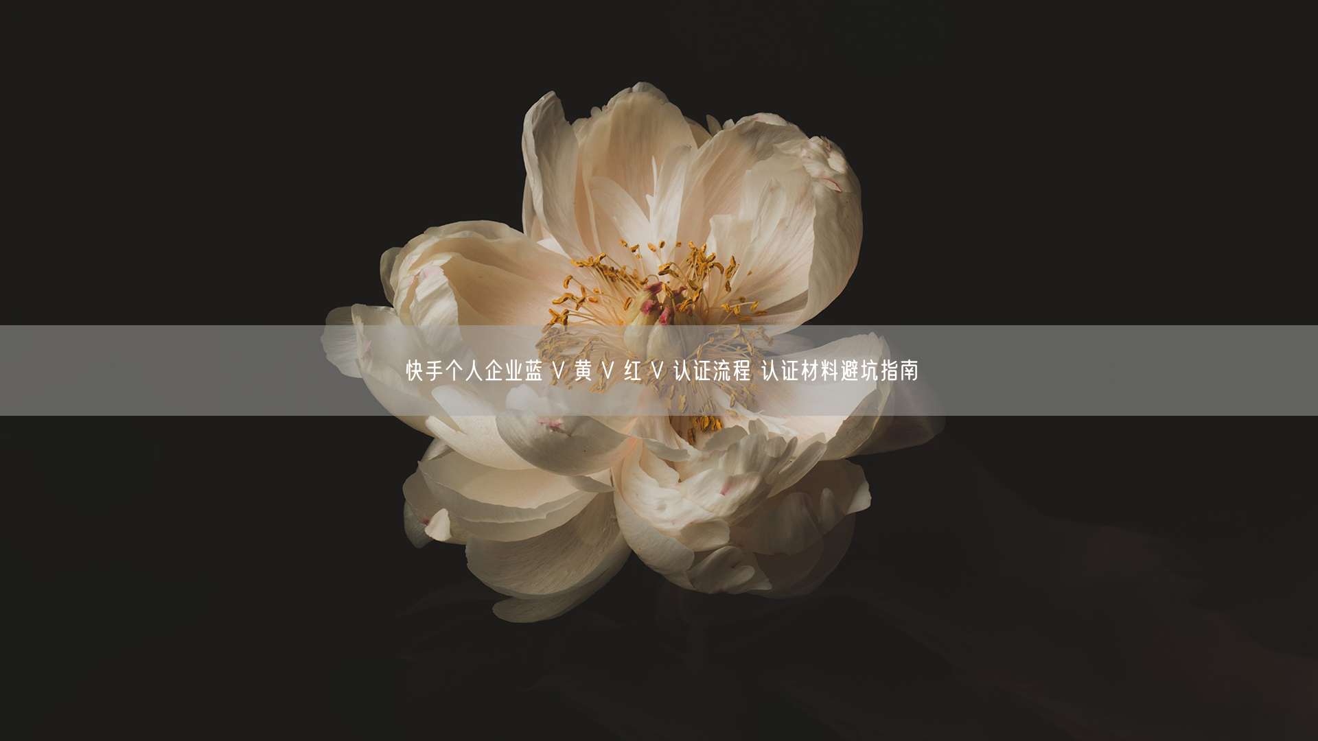 快手个人企业蓝 V 黄 V 红 V 认证流程 认证材料避坑指南