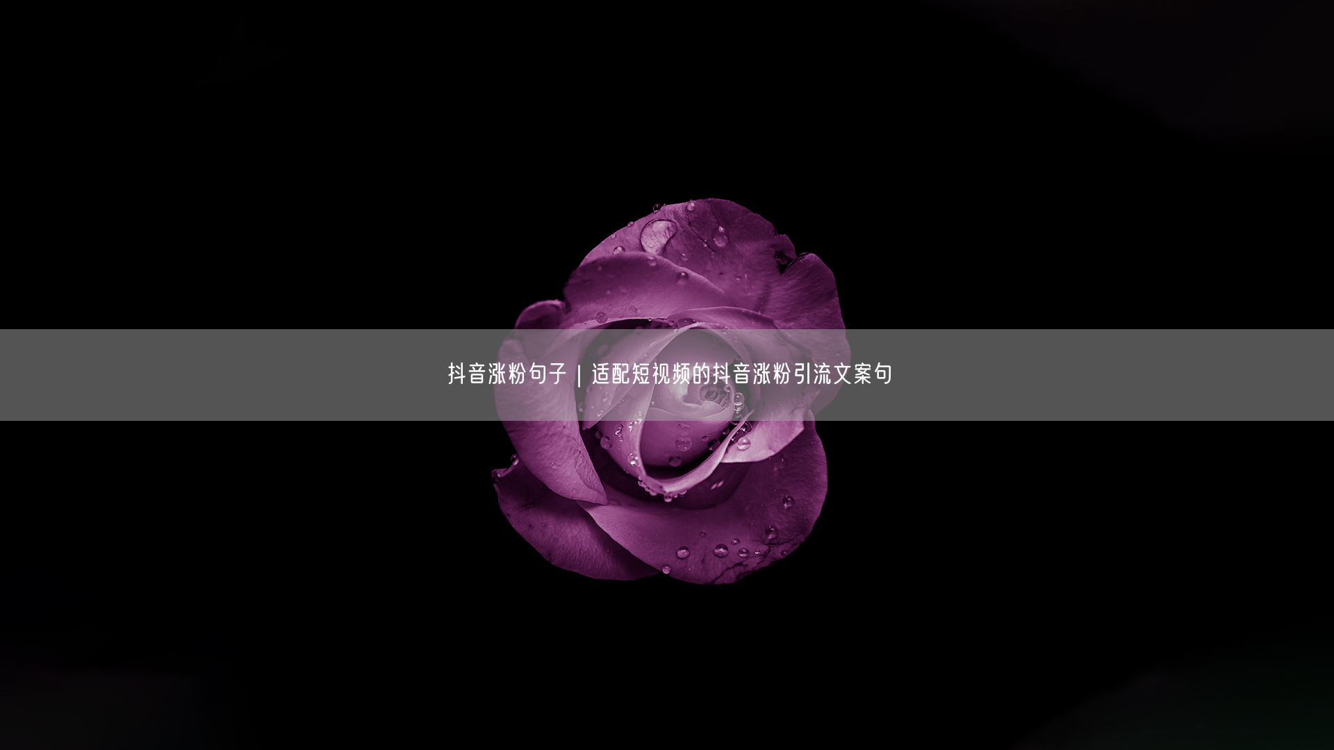抖音涨粉秘籍：短视频引流文案创作技巧大公开