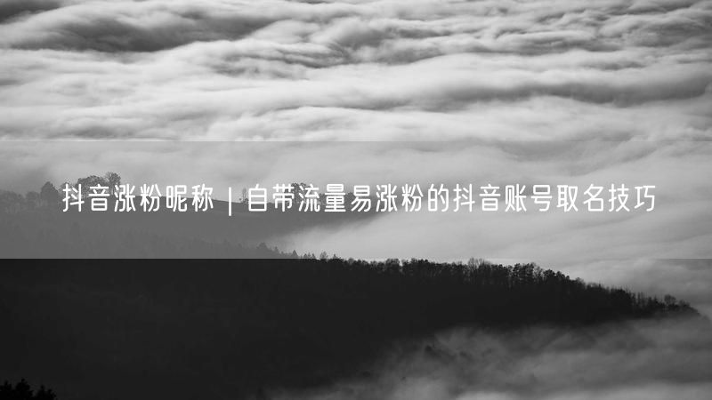 抖音涨粉昵称|自带流量易涨粉的抖音账号取名技巧