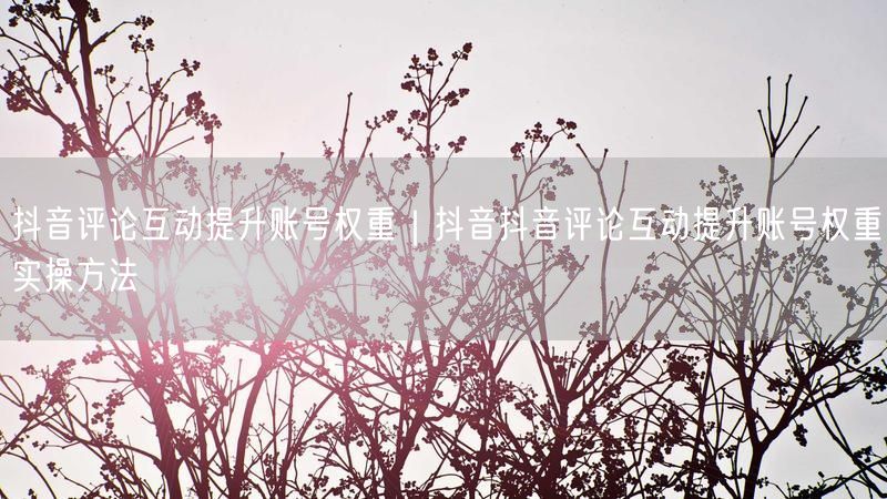 抖音评论互动提升账号权重｜抖音抖音评论互动提升账号权重实操方法