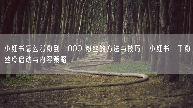 小红书怎么涨粉到 1000 粉丝的方法与技巧｜小红书一千粉丝冷启动与内容策略