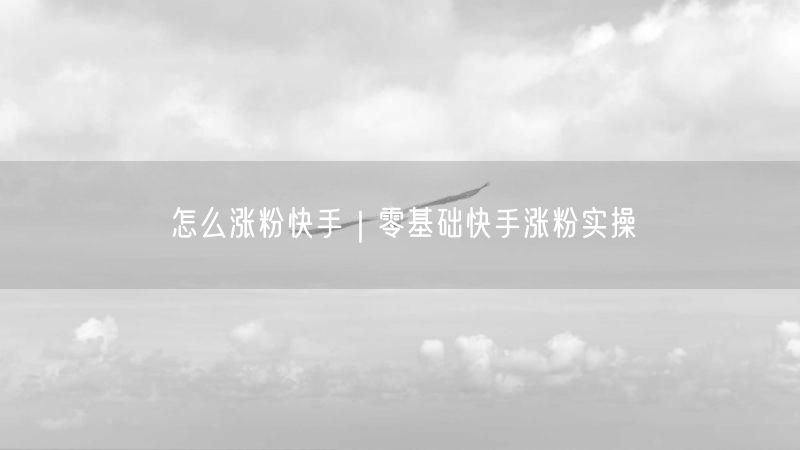 怎么涨粉快手｜零基础快手涨粉实操